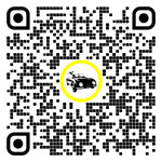 QR code per questa pagina:Prestito auto in Urfahr/Umgebung, Alta Austria, Austria