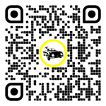 QR code for this page:Car market in Feldkirchen, Carinthie, Austria