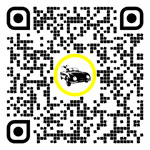 QR code for this page:Car market in Ried im Innkreis, Alta Austria, Austria