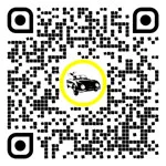 QR code for this page:Car market in Wels – Stadt, Upper Austria, Austria