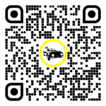 QR code for this page:Car market in Weiz, Styria, Austria