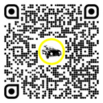 QR-Code für die Seite:Camping in Wiener Neustadt – Stadt, Niederösterreich, Österreich