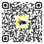 Cod QR pentru pagina:Școli de șoferi în Ottakring, Viena, Austria