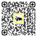 QR code for this page:Driving schools in Linz – Stadt, Upper Austria, Austria