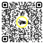 QR code for this page:Autoescuelas in Waidhofen an der Ybbs, Baja Austria, Austria