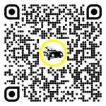 QR code for this page:Entretien et réparations de voitures in Bruck an der Leitha, Basse-Autriche, Austria