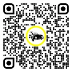 QR code for this page:Car service & repairs in Spittal an der Drau, Carinthia, Austria