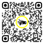 QR code for this page:Car service & repairs in Wels – Stadt, Upper Austria, Austria