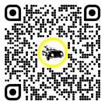 QR code for this page:Auto Parts & Accessories in Salzburg/Land, Salzburg, Austria