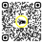 QR code for this page:Auto Parts & Accessories in Tulln, Lower Austria, Austria
