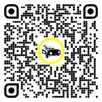 QR code for this page:Alquiler de Coches y Furgonetas in Ried im Innkreis, Alta Austria, Austria