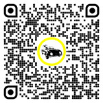 QR code for this page:Rent cars & vans in Wiener Neustadt/Land, Lower Austria, Austria