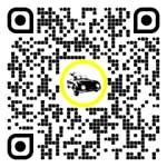 QR code for this page:Gas station, Car Wash & Workshop in Styria, Austria