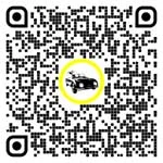 QR-код для этой страницы:Автомойки и АЗС в Вельс-Ланд, Верхняя Австрия, Австрия