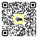 QR-код для этой страницы:Такси в Бригиттенау, Вена, Австрия