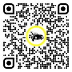 Cod QR pentru pagina:Taxi în Dornbirn, Vorarlberg, Austria