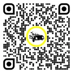 QR code for this page:Taxi in Völkermarkt, Carintia, Austria