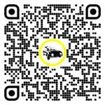 QR code for this page:Seguros de coche in Eisenstadt/Umgebung, Burgenland, Austria