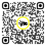 QR code for this page:Assurance auto in Feldkirch, Vorarlberg, Austria