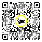 QR code for this page:Araç Sigortaları in Gmünd, Aşağı Avusturya, Avusturya