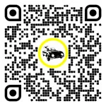 QR code for this page:Seguros de coche in Liezen, Estiria, Austria