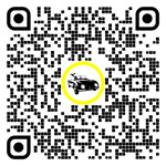 Cod QR pentru pagina:Asigurări auto în Linz – Stadt, Austria Superioară, Austria