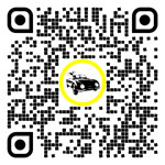 QR code for this page:Auto insurance in Währing, Vienna, Austria