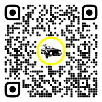 QR code for this page:Auto insurance in Zell am See, Salzburg, Austria