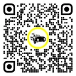 QR code for this page:Seguros de coche in Zell am See, Salzburgo, Austria